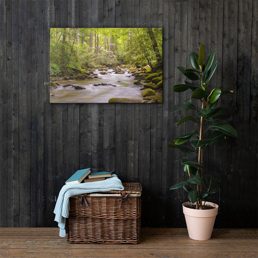 Forest Stream Canvas 24x36